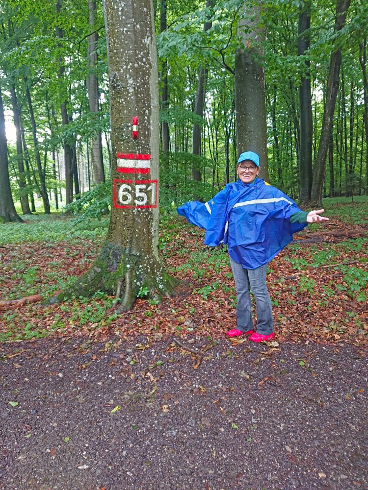 Edlitzberg (48 Bildaufrufe)