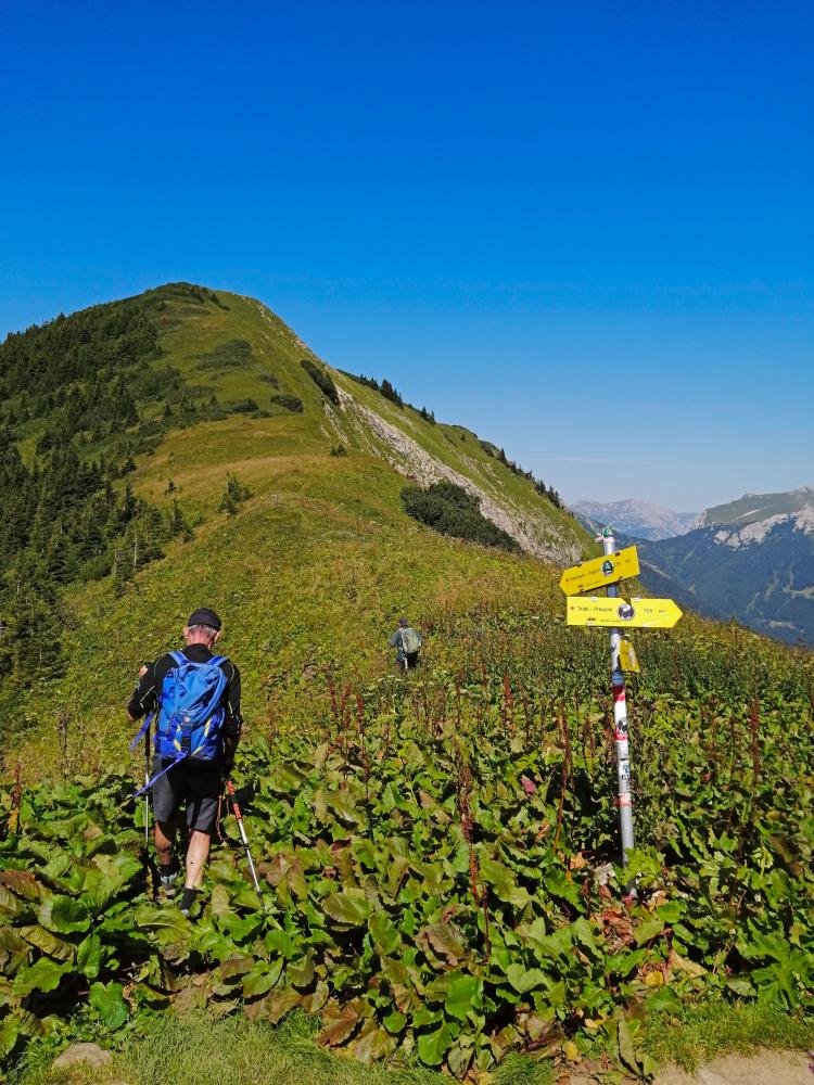 Eisenerzer Reichenstein (112 Bildaufrufe)