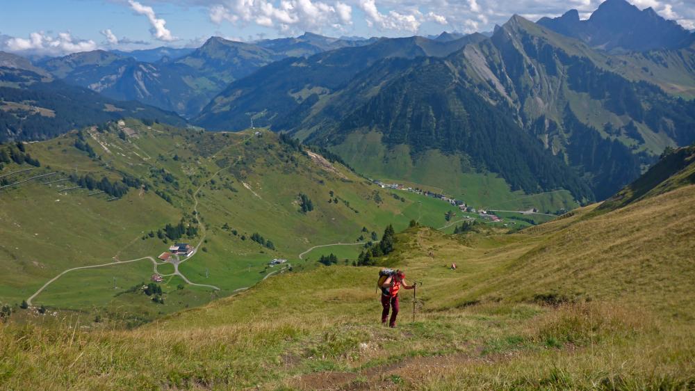 Glatthorn (41 Bildaufrufe)