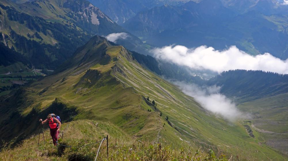 Glatthorn (54 Bildaufrufe)