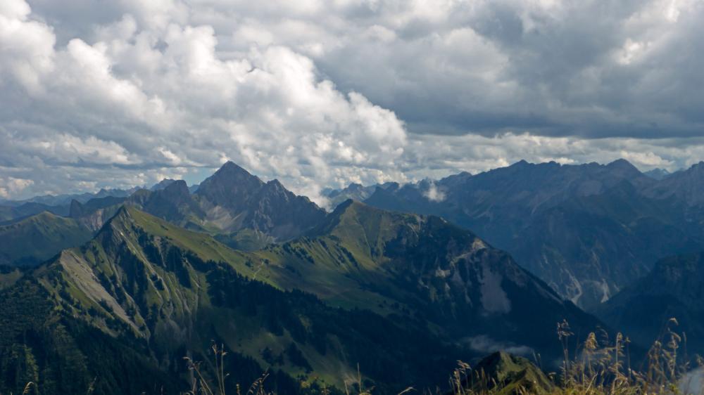 Glatthorn (48 Bildaufrufe)