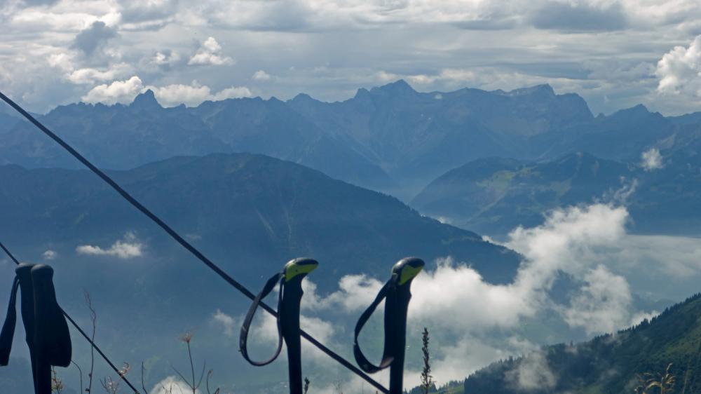 Glatthorn (43 Bildaufrufe)
