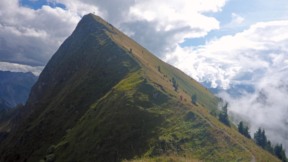 Glatthorn (38 Bildaufrufe)
