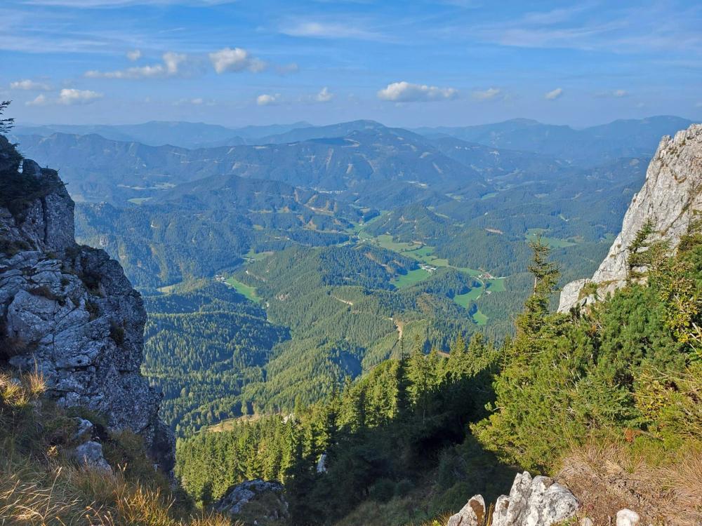 Gippel (72 Bildaufrufe)
