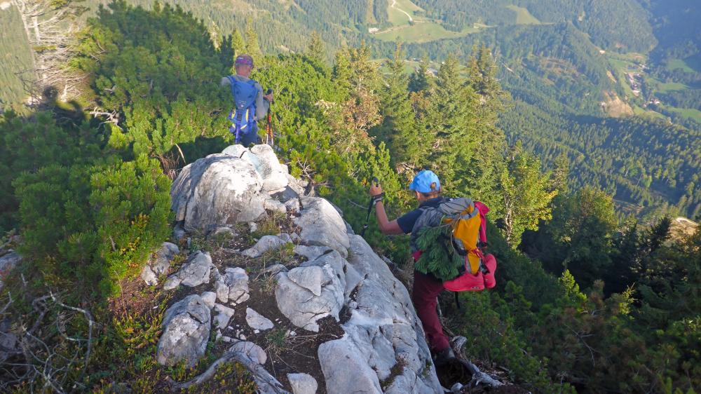 Gippel (74 Bildaufrufe)