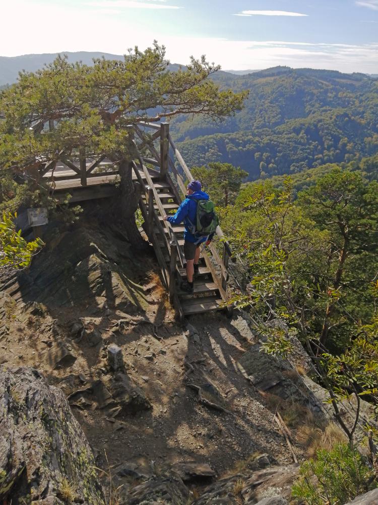 Buschandlwand (47 Bildaufrufe)