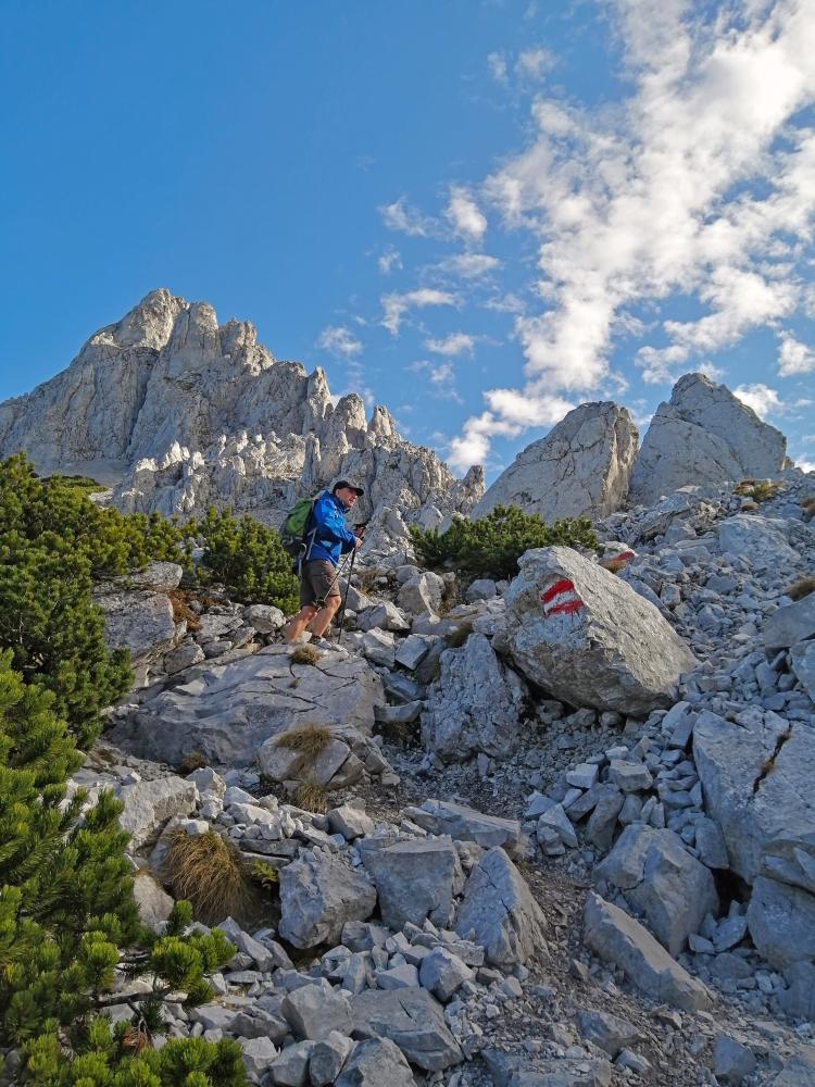 TAC-Spitz (81 Bildaufrufe)