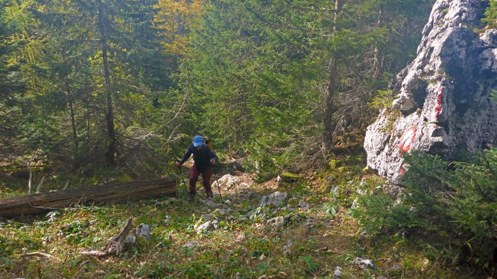 Zinken (51 Bildaufrufe)