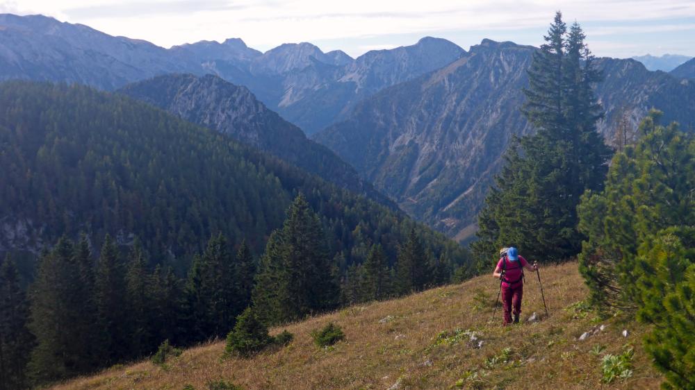 Zinken (61 Bildaufrufe)