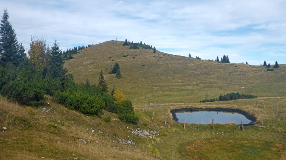 Zinken (68 Bildaufrufe)