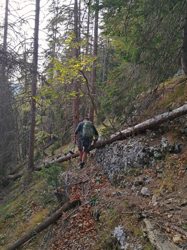 Zinken (55 Bildaufrufe)