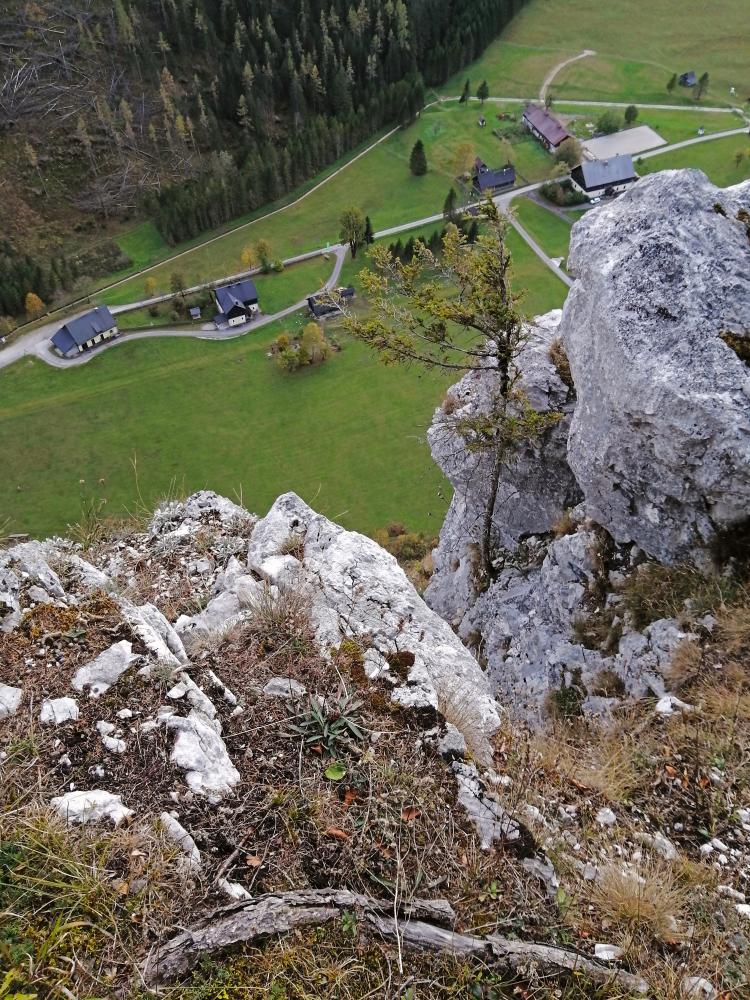 Zinken (48 Bildaufrufe)