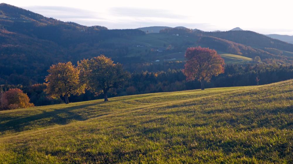 Rudolfshöhe (42 Bildaufrufe)
