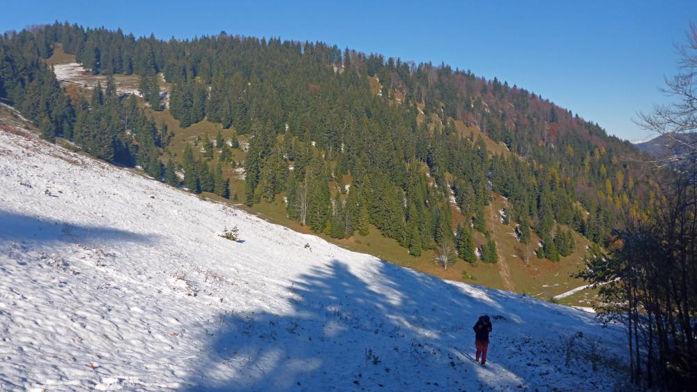 Linsberg (55 Bildaufrufe)