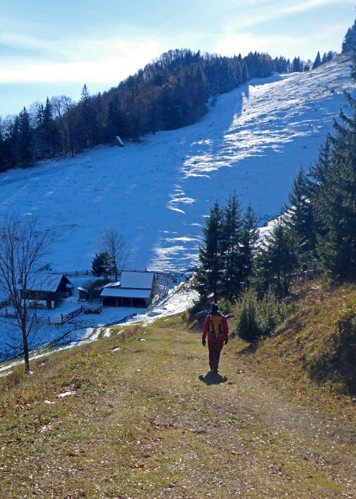 Linsberg (56 Bildaufrufe)