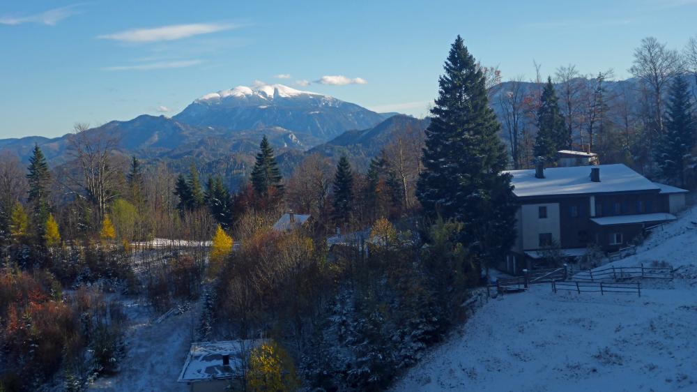 Linsberg (53 Bildaufrufe)