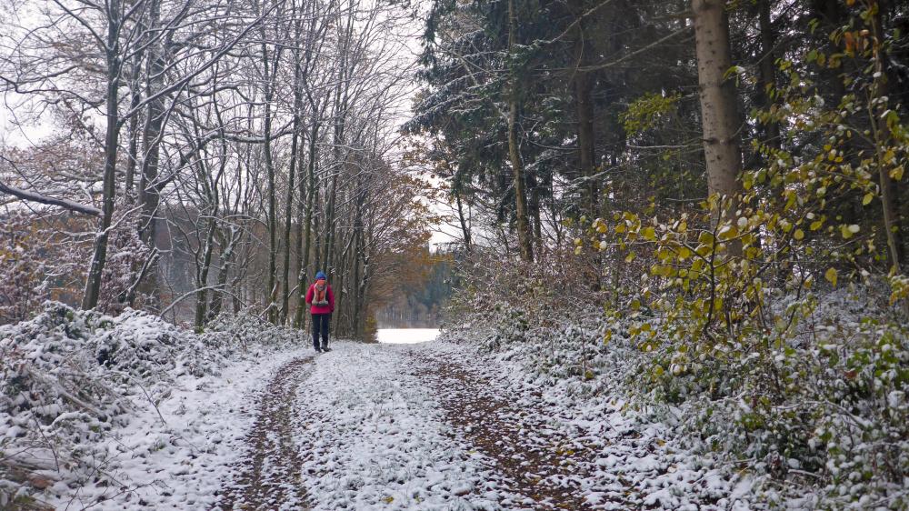 Steinwandleiten (23 Bildaufrufe)