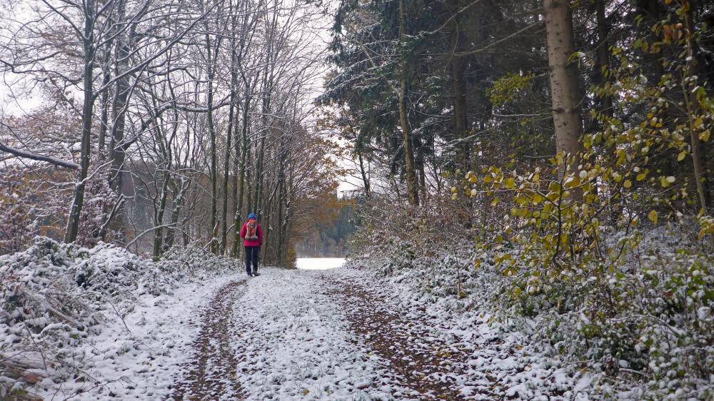 Steinwandleiten (10 Bildaufrufe)