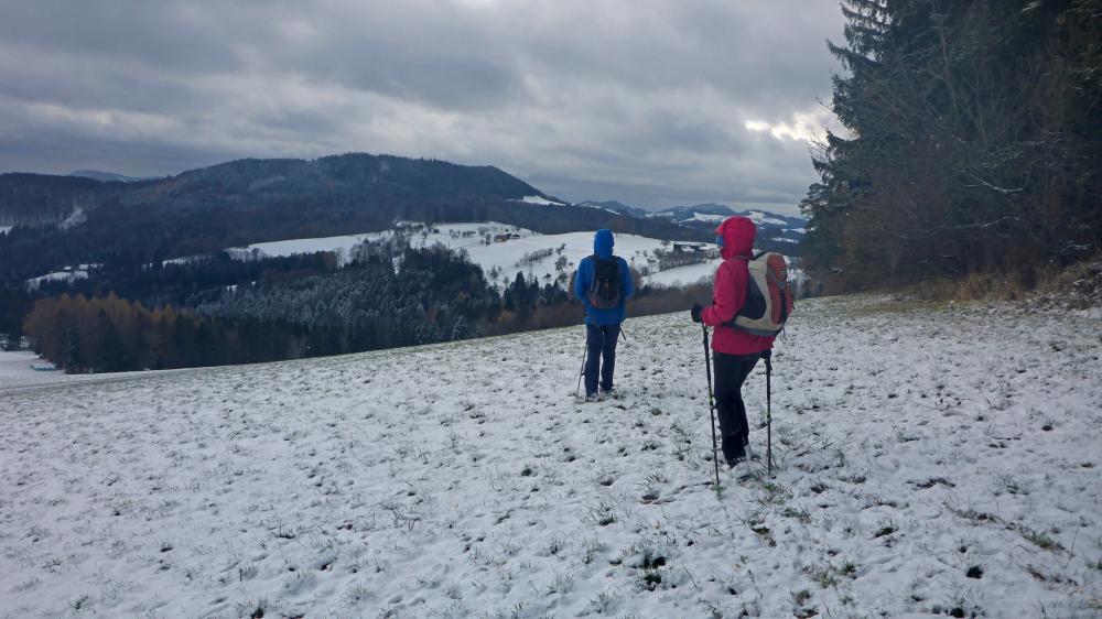 Steinwandleiten (23 Bildaufrufe)
