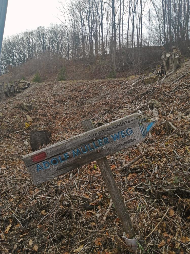 Steinwandleiten (47 Bildaufrufe)