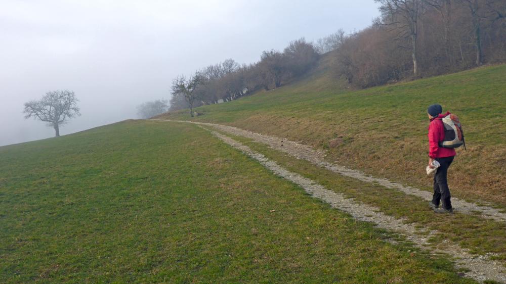 Gaisbühel (64 Bildaufrufe)