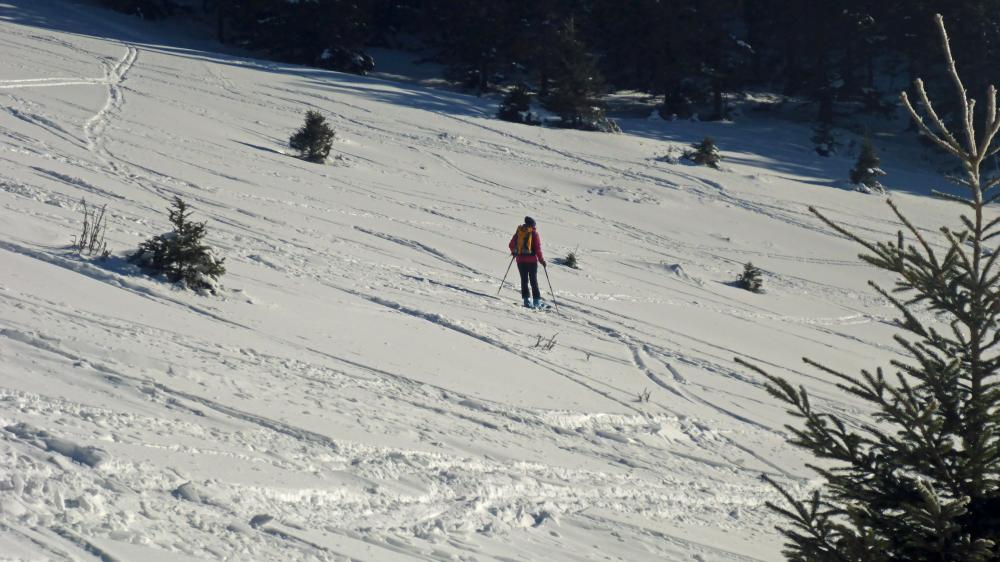 Hennesteck (75 Bildaufrufe)