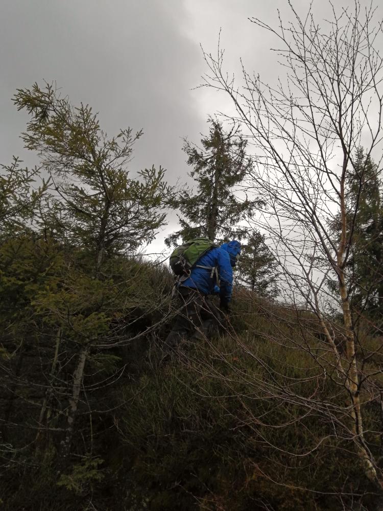 Tischberg (61 Bildaufrufe)