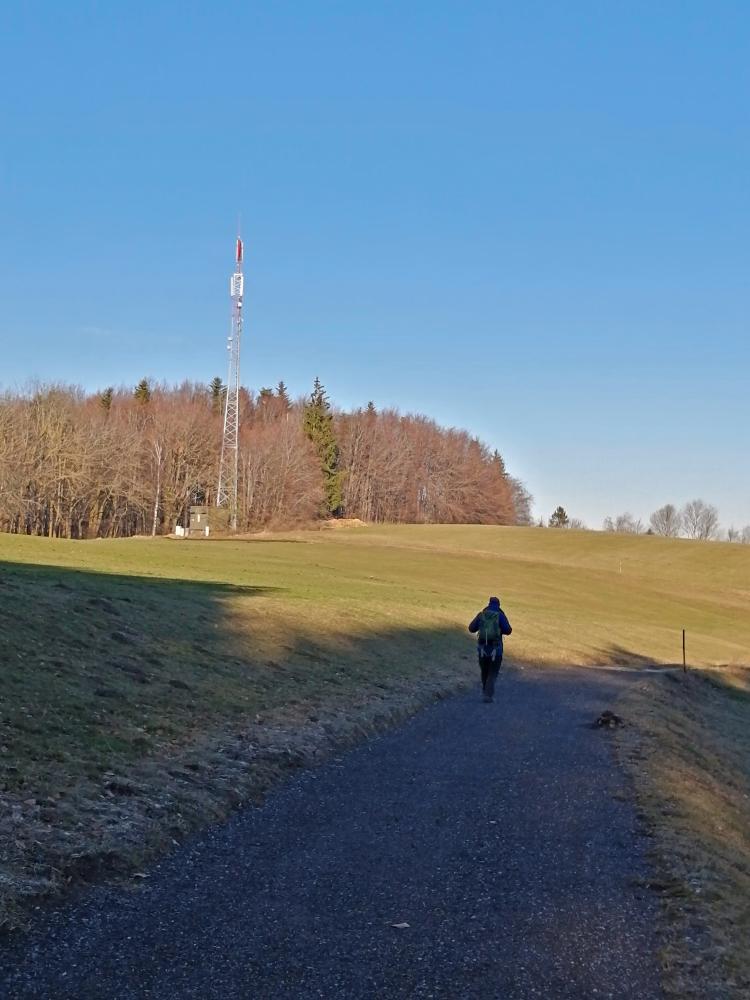 Schweinzberg (34 Bildaufrufe)