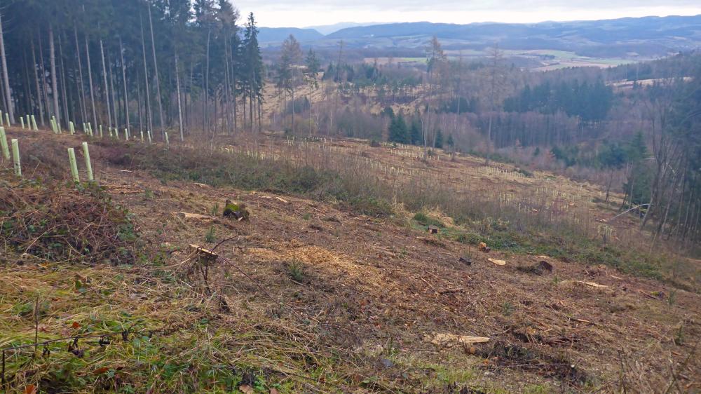 Hiesberg (47 Bildaufrufe)