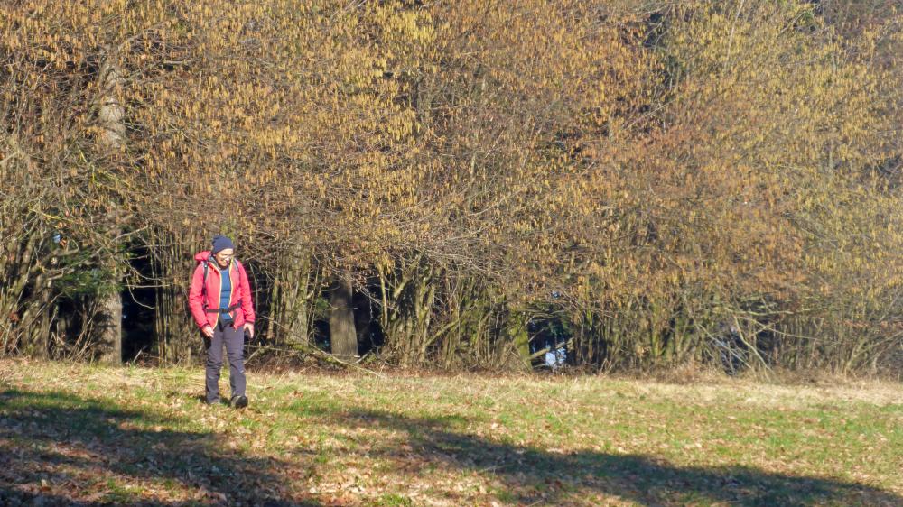Fußmaißlberg (56 Bildaufrufe)