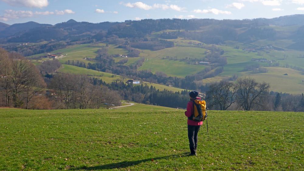 Fußmaißlberg (62 Bildaufrufe)