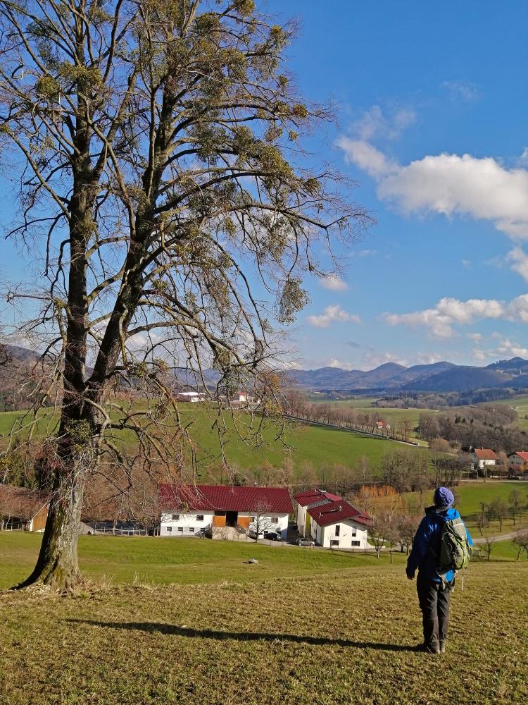 Fußmaißlberg (61 Bildaufrufe)