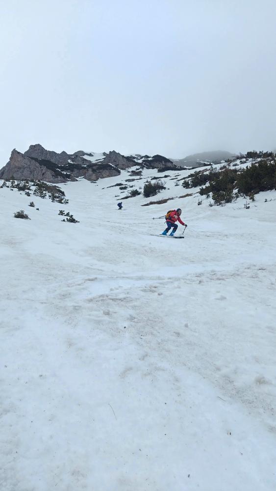 Heukuppe (84 Bildaufrufe)
