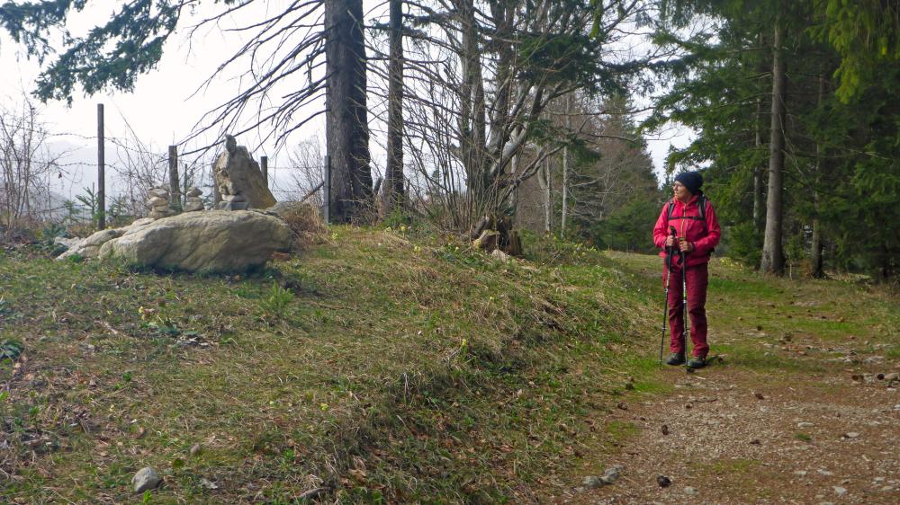 Runzelberg (68 Bildaufrufe)