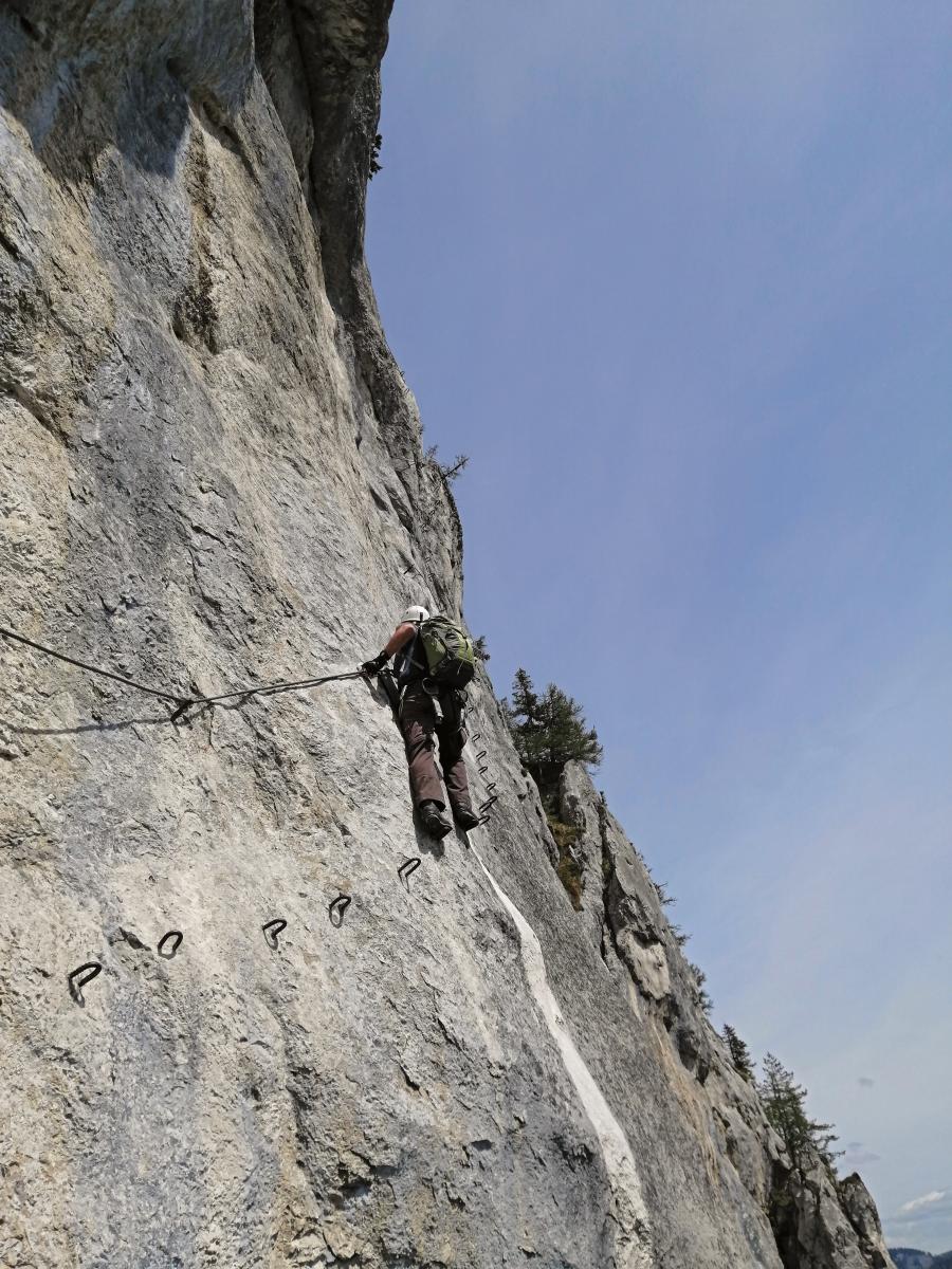 Spielmäuer (60 Bildaufrufe)