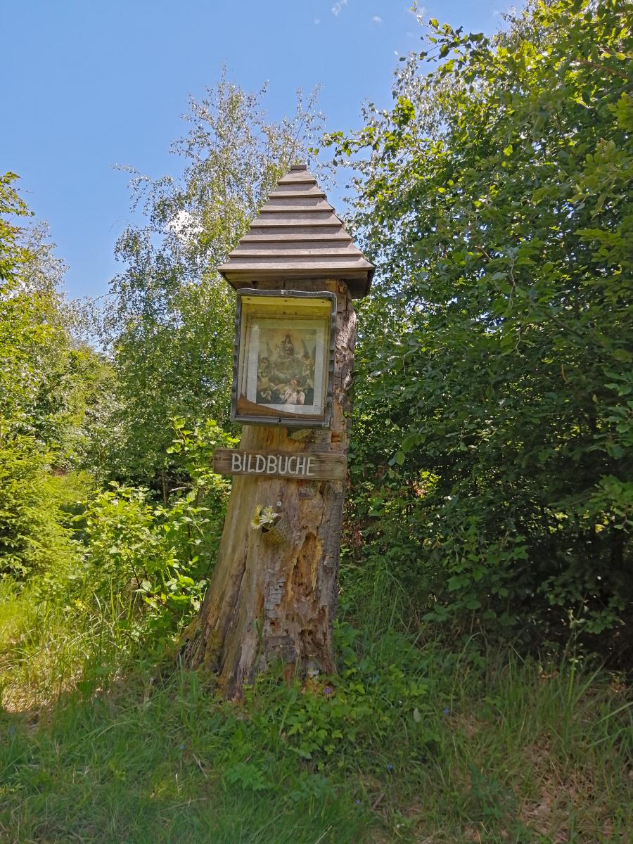 Klausberg (32 Bildaufrufe)