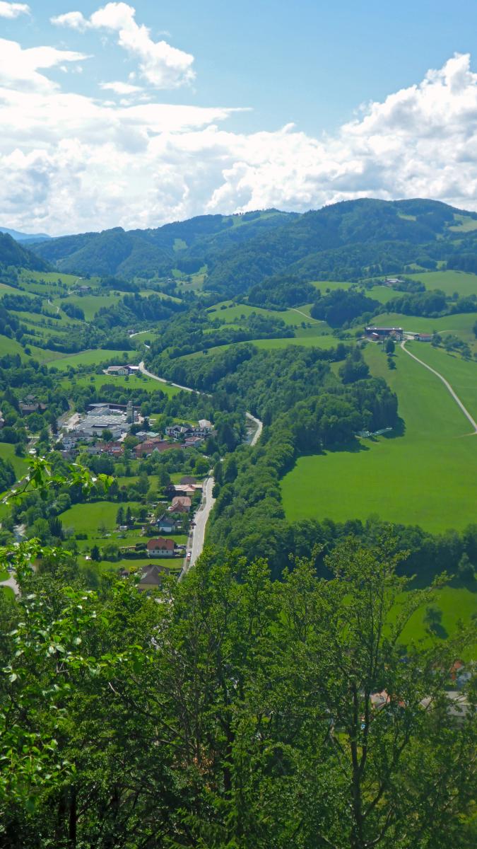Hauswald (58 Bildaufrufe)