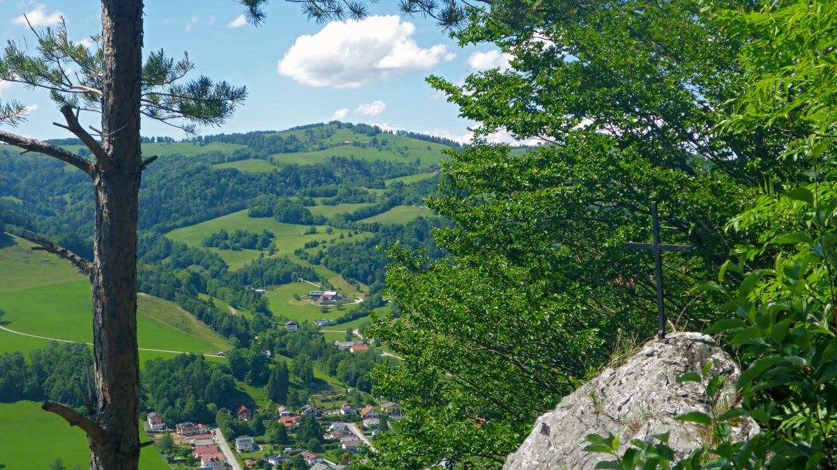 Hauswald (61 Bildaufrufe)