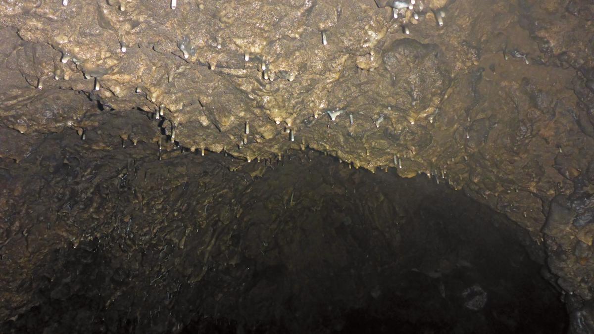 Kühberg (46 Bildaufrufe)