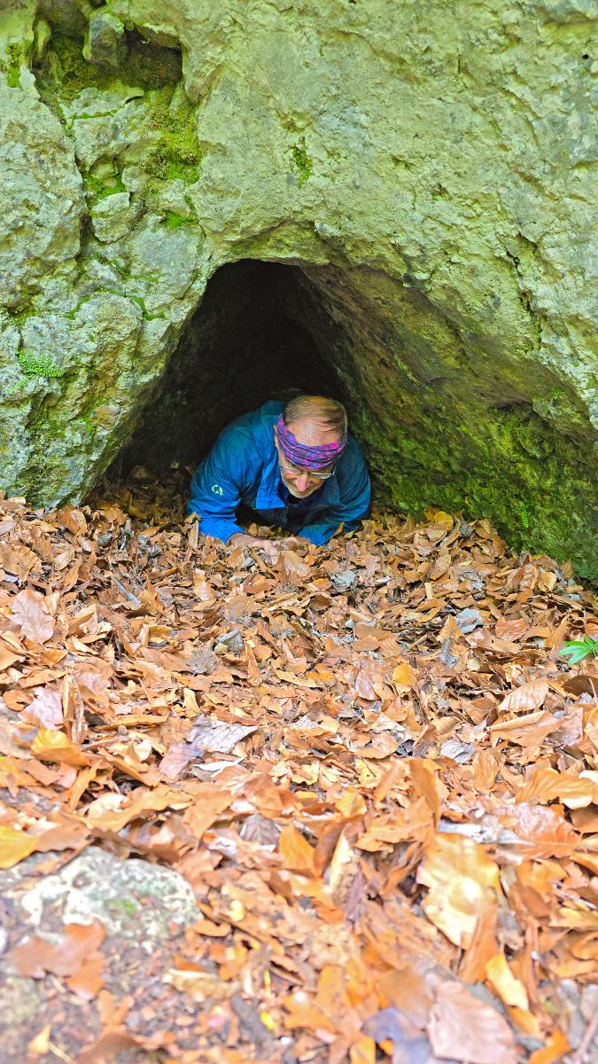 Kühberg (41 Bildaufrufe)