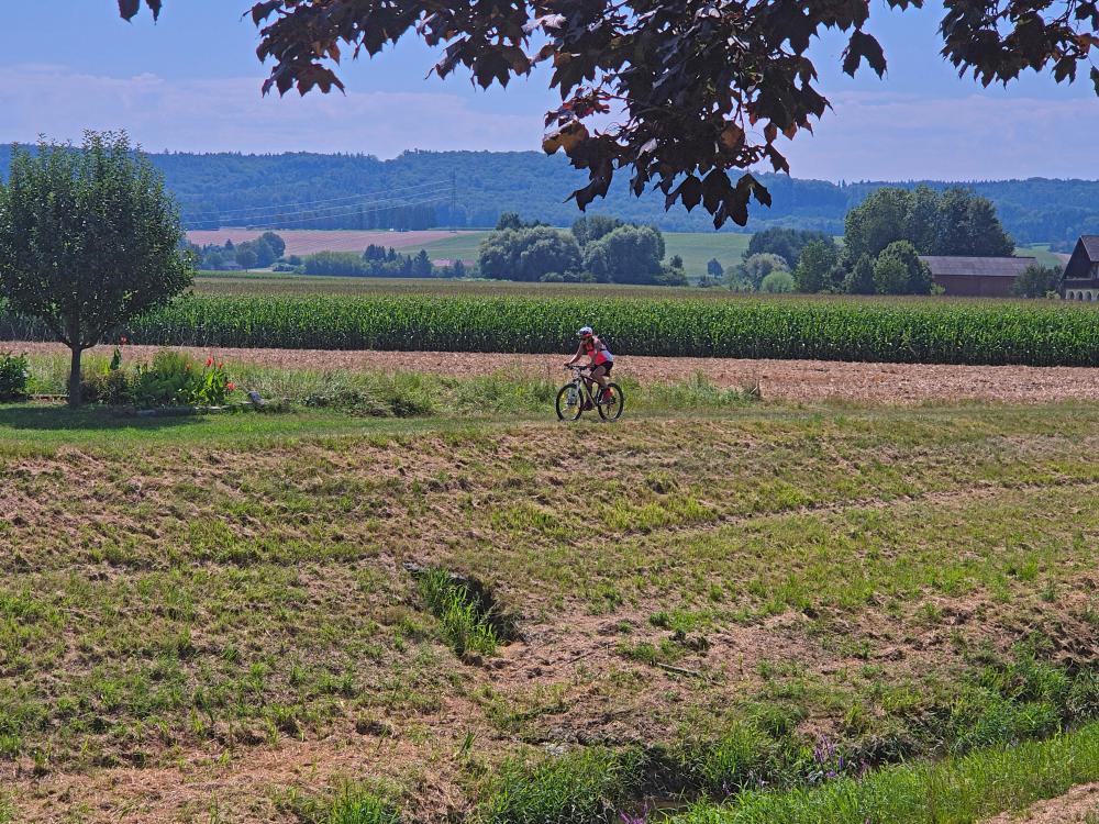 Manker Pilgerweg (4 Bildaufrufe)