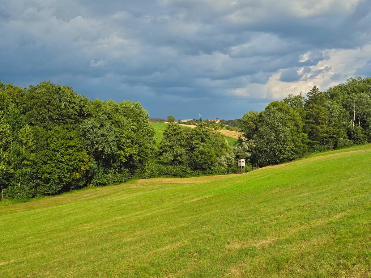 Kuhberg (38 Bildaufrufe)
