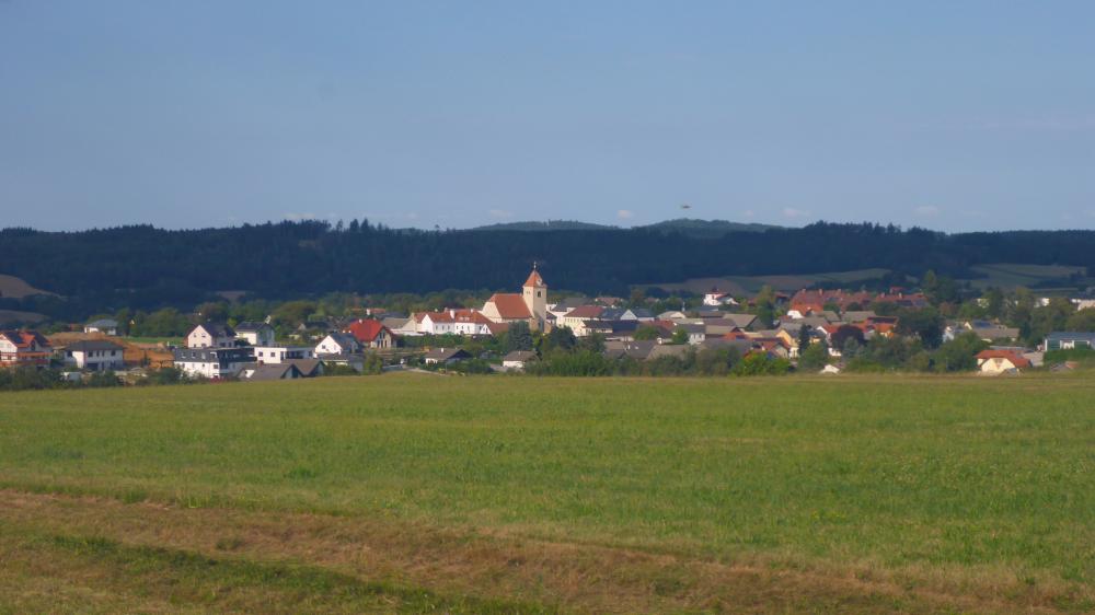 Polackenkopf (36 Bildaufrufe)