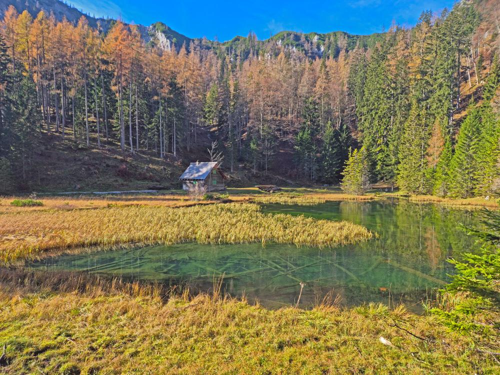 Buchbergkogel (49 Bildaufrufe)