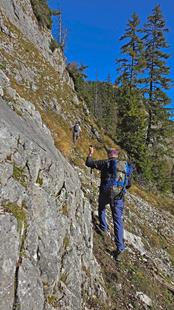 Buchbergkogel (54 Bildaufrufe)