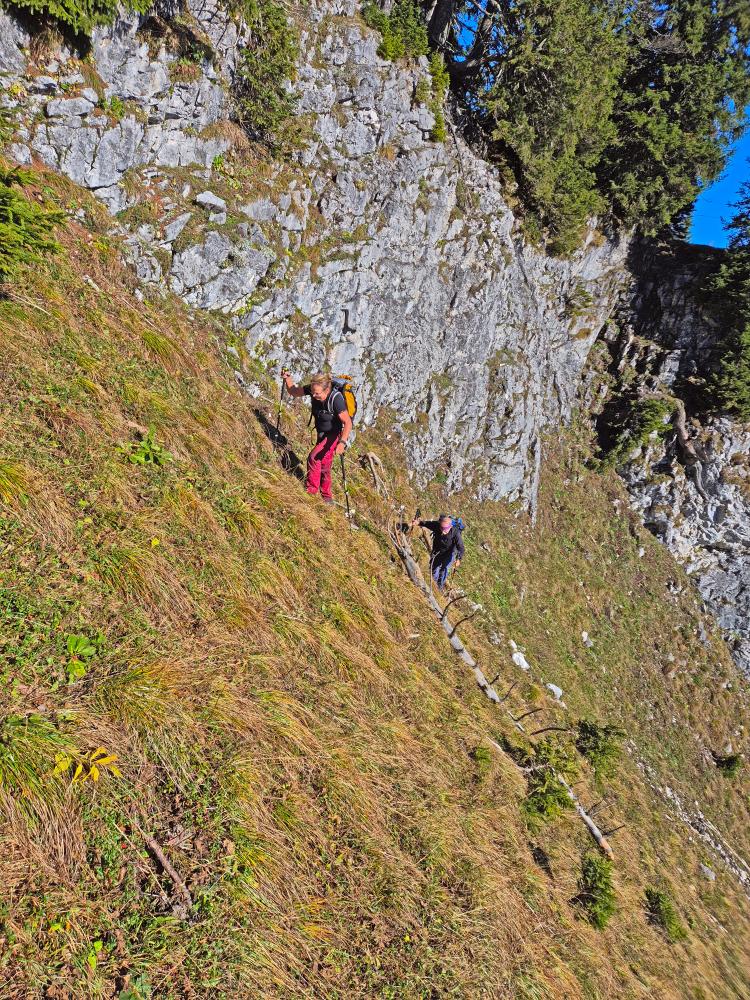 Buchbergkogel (50 Bildaufrufe)