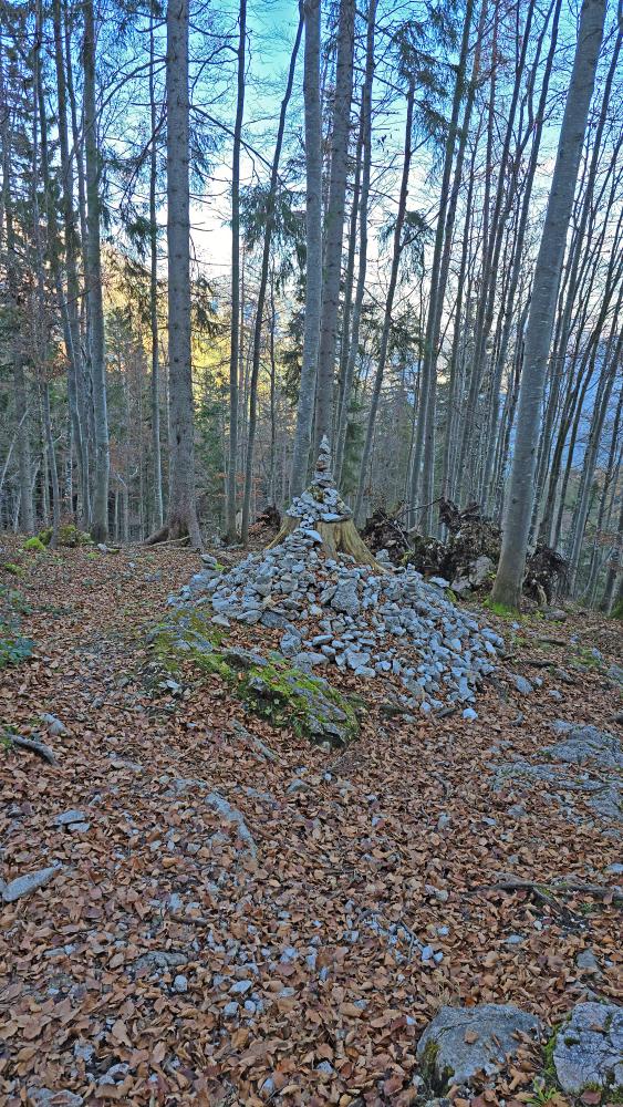 Buchbergkogel (45 Bildaufrufe)