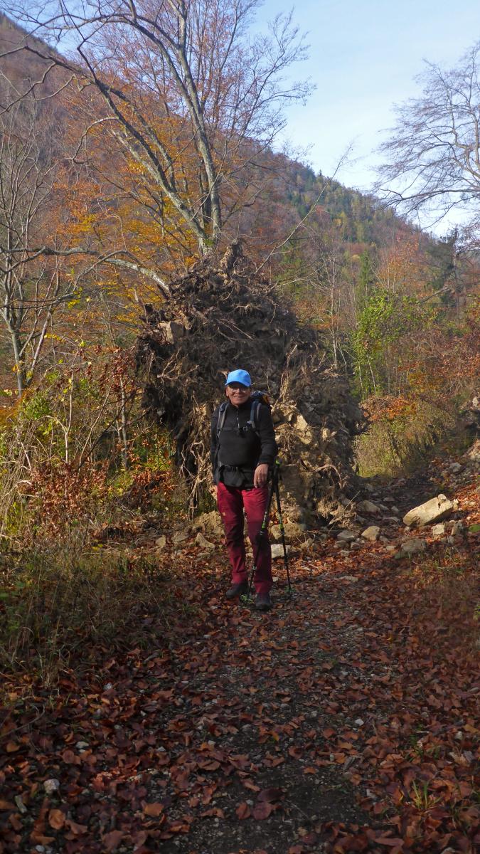 Hohenstein (39 Bildaufrufe)