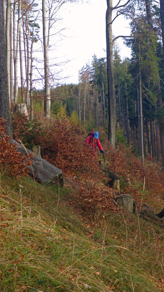 Hohenstein (38 Bildaufrufe)