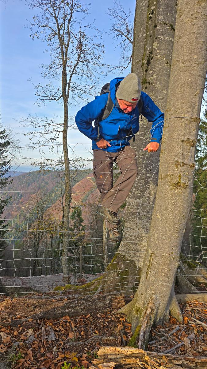 Hohenstein (40 Bildaufrufe)
